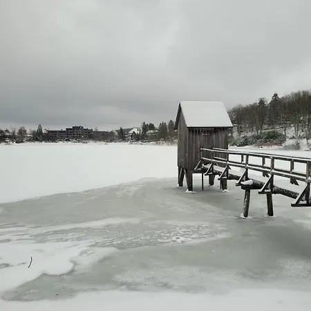 Am Kranichsee Vier Jahreszeiten