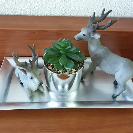 شقة Am Kranichsee Vier Jahreszeiten جوسلار