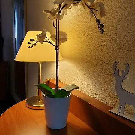 Am Kranichsee Vier Jahreszeiten