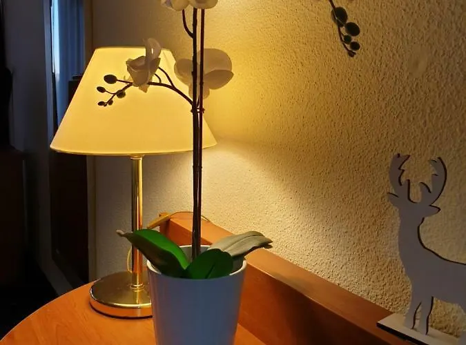 Am Kranichsee Vier Jahreszeiten